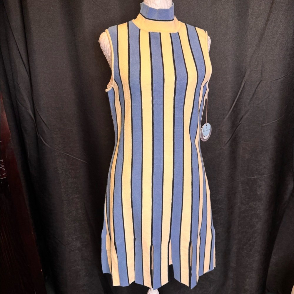 Eva Franco Midi Dress with White and Blue Stripes